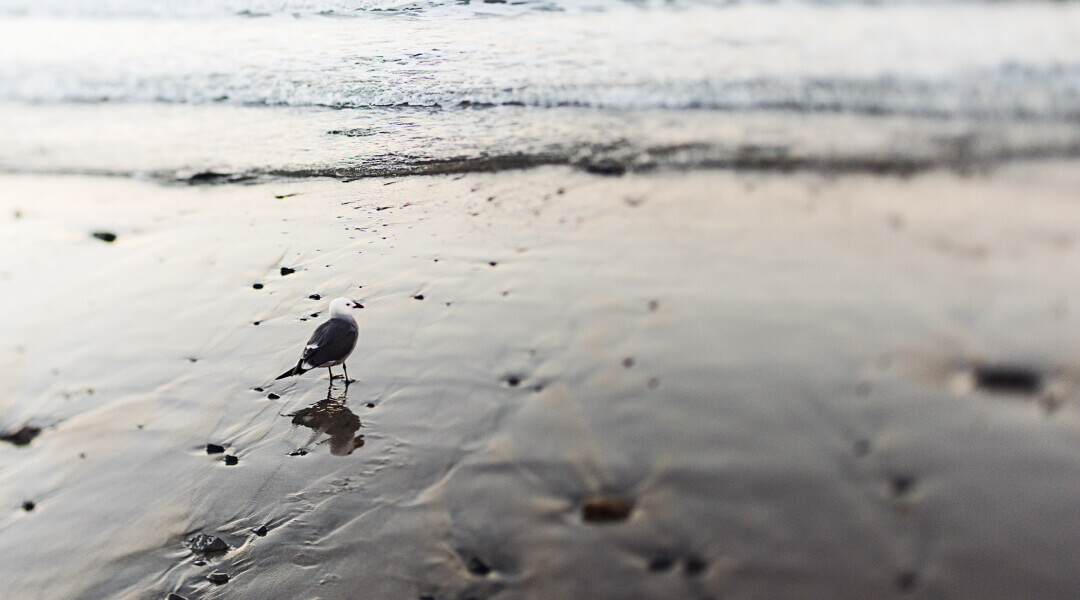 Call for Resolutions for 2025 Annual Meeting: The Gathering