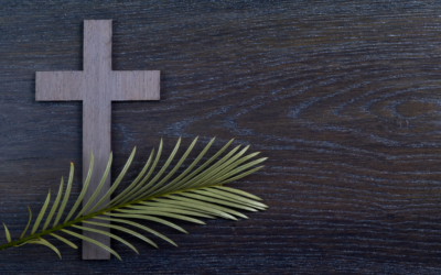 Want to know more about Lent?