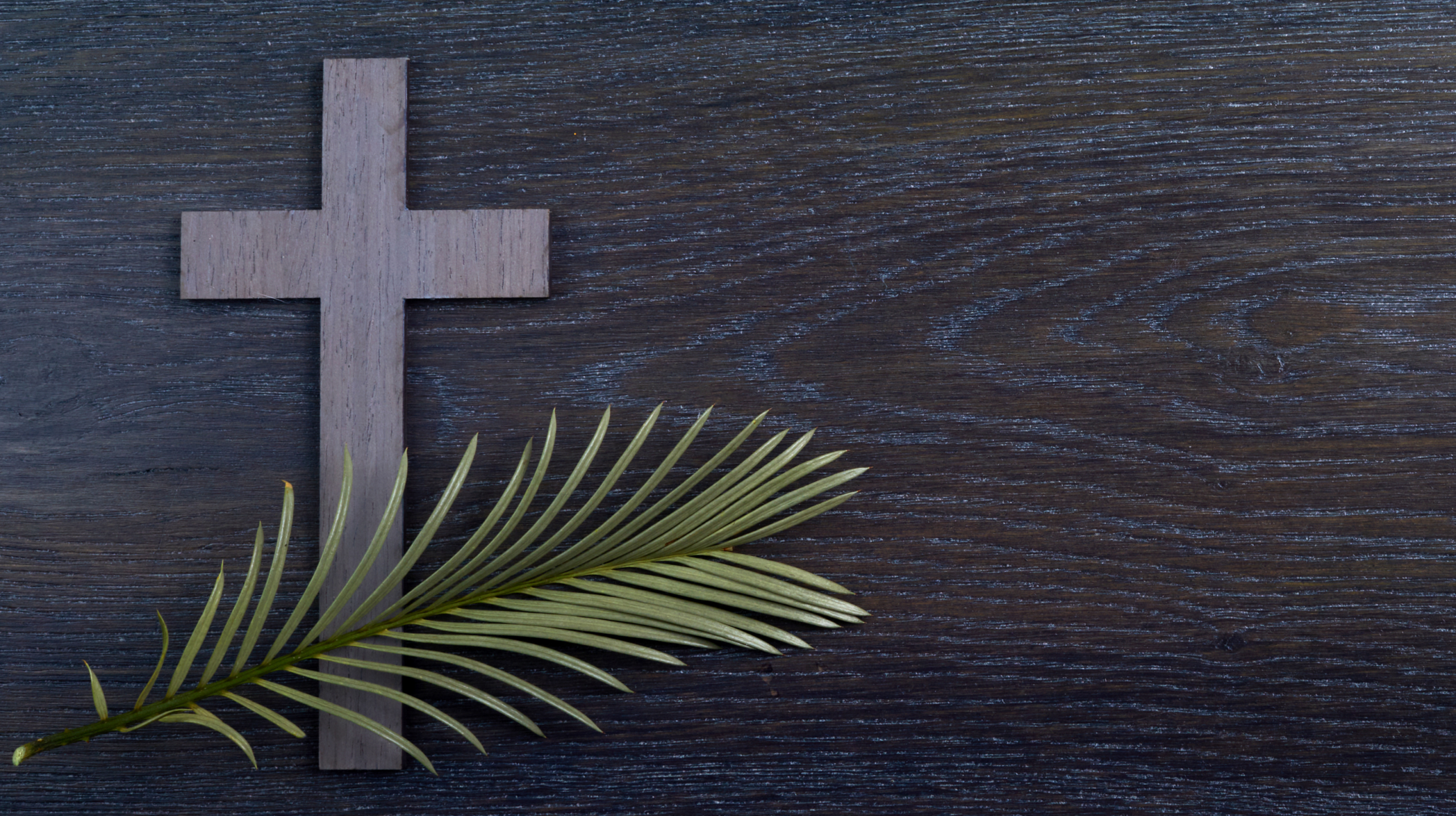 Top view of hand holding teal ribbon on dark background with copy space. Cervical and ovarian cancer, sexual assault, pcos, ptsd, anxiety disorder, agoraphobia and scleroderma awareness concept.